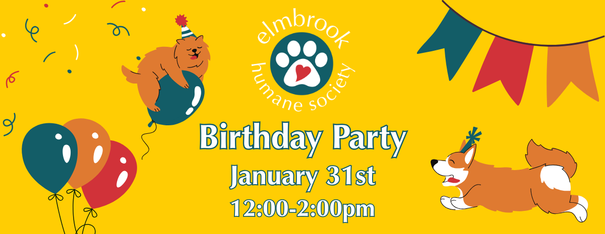 Birthday Party - January 31st, 12-2pm